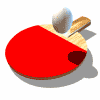 ping-pong bat
