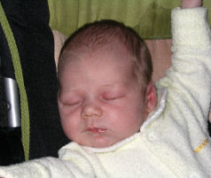 Isabel