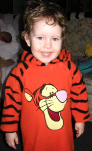 Phoenix tiger