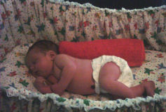 Phoenix sleeping