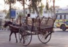 Horse drawn cart